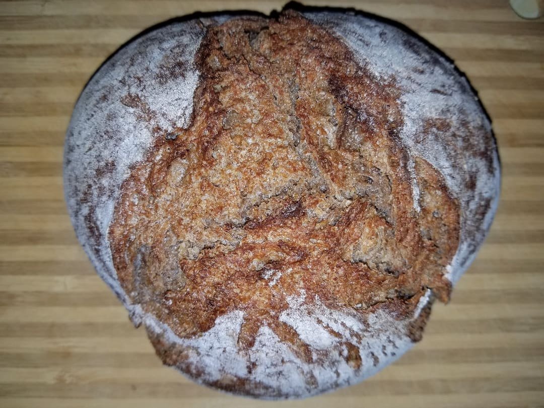 Et groft, meldrysset rugbrød med mørk skorpe